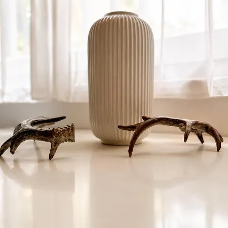 Blackhome Garten & Barrierefrei, Bis 6 Gaeste *